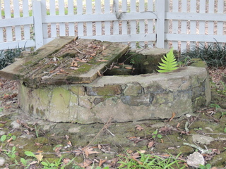 Filename=DSCN4772.JPG
Filesize=6201KiB
Dimensions=4608x3456
Date added=Sep 24, 2019 DSCN4772.JPG