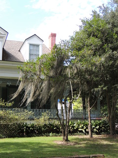 Filename=DSCN4777.JPG
Filesize=5637KiB
Dimensions=3456x4608
Date added=Sep 24, 2019 DSCN4777.JPG