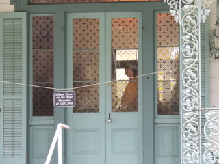 Filename=DSCN4787.JPG
Filesize=5844KiB
Dimensions=4608x3456
Date added=Sep 24, 2019 DSCN4787.JPG