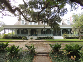 Filename=DSCN4793.JPG
Filesize=5155KiB
Dimensions=4608x3456
Date added=Sep 24, 2019 DSCN4793.JPG