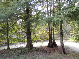 Filename=DSCN4819.JPG
Filesize=4832KiB
Dimensions=4608x3456
Date added=Sep 24, 2019 DSCN4819.JPG