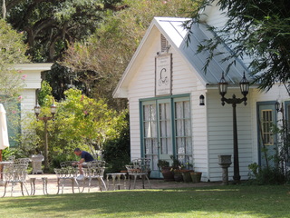 Filename=DSCN4824.JPG
Filesize=6100KiB
Dimensions=4608x3456
Date added=Sep 24, 2019 DSCN4824.JPG