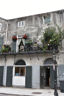 Filename=DSC_3145.JPG
Filesize=15753KiB
Dimensions=4912x7360
Date added=May 01, 2021 DSC_3145.JPG