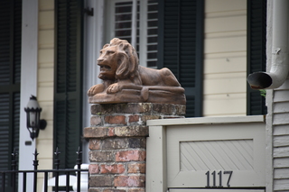 Filename=DSC_3172.JPG
Filesize=16054KiB
Dimensions=7360x4912
Date added=May 01, 2021 DSC_3172.JPG