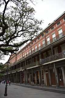 Filename=DSC_3229.JPG
Filesize=17749KiB
Dimensions=4912x7360
Date added=May 01, 2021 DSC_3229.JPG