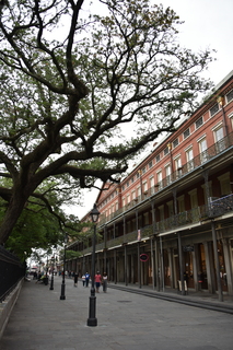 Filename=DSC_3230.JPG
Filesize=19235KiB
Dimensions=4912x7360
Date added=May 01, 2021 DSC_3230.JPG