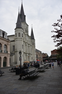 Filename=DSC_3232.JPG
Filesize=13789KiB
Dimensions=4912x7360
Date added=May 01, 2021 DSC_3232.JPG