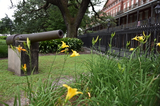 Filename=DSC_3235.JPG
Filesize=19555KiB
Dimensions=7360x4912
Date added=May 01, 2021 DSC_3235.JPG