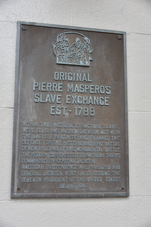 Filename=DSC_3253.JPG
Filesize=15797KiB
Dimensions=4912x7360
Date added=May 01, 2021 DSC_3253.JPG