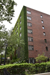 Filename=DSC_3286.JPG
Filesize=23080KiB
Dimensions=4912x7360
Date added=May 01, 2021 DSC_3286.JPG