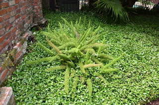 Filename=DSC_3291.JPG
Filesize=24778KiB
Dimensions=7360x4912
Date added=May 01, 2021 DSC_3291.JPG