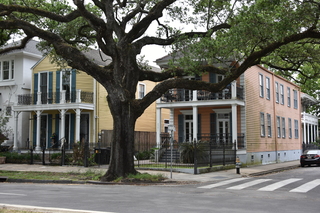 Filename=DSC_3298.JPG
Filesize=22080KiB
Dimensions=7360x4912
Date added=May 01, 2021 DSC_3298.JPG