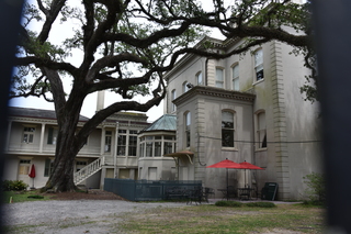 Filename=DSC_3310.JPG
Filesize=20798KiB
Dimensions=7360x4912
Date added=May 01, 2021 DSC_3310.JPG