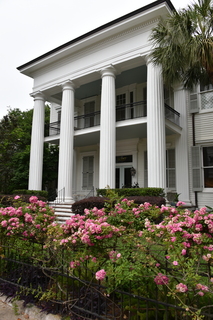 Filename=DSC_3324.JPG
Filesize=17660KiB
Dimensions=4912x7360
Date added=May 01, 2021 DSC_3324.JPG