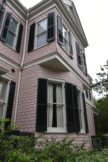 Filename=DSC_3330.JPG
Filesize=16688KiB
Dimensions=4912x7360
Date added=May 01, 2021 DSC_3330.JPG