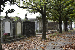 Filename=DSC_3339.JPG
Filesize=21496KiB
Dimensions=7360x4912
Date added=May 01, 2021 DSC_3339.JPG