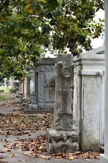 Filename=DSC_3340.JPG
Filesize=17448KiB
Dimensions=4912x7360
Date added=May 01, 2021 DSC_3340.JPG