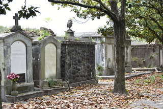 Filename=DSC_3342.JPG
Filesize=21111KiB
Dimensions=7360x4912
Date added=May 01, 2021 DSC_3342.JPG