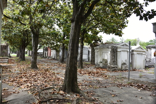 Filename=DSC_3344.JPG
Filesize=23591KiB
Dimensions=7360x4912
Date added=May 01, 2021 DSC_3344.JPG