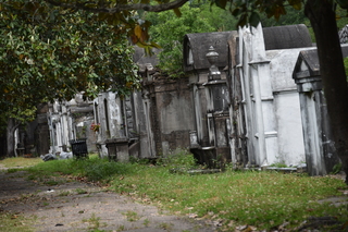 Filename=DSC_3348.JPG
Filesize=19847KiB
Dimensions=7360x4912
Date added=May 01, 2021 DSC_3348.JPG