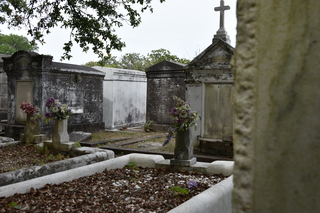 Filename=DSC_3349.JPG
Filesize=18988KiB
Dimensions=7360x4912
Date added=May 01, 2021 DSC_3349.JPG