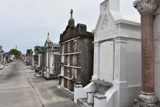 Filename=DSC_3356.JPG
Filesize=18766KiB
Dimensions=7360x4912
Date added=May 01, 2021 DSC_3356.JPG