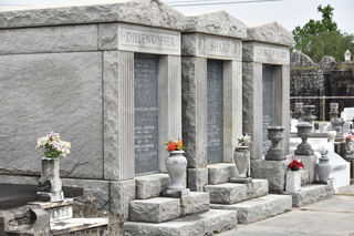 Filename=DSC_3362.JPG
Filesize=24217KiB
Dimensions=7360x4912
Date added=May 01, 2021 DSC_3362.JPG