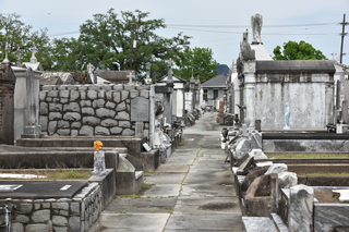 Filename=DSC_3371.JPG
Filesize=21405KiB
Dimensions=7360x4912
Date added=May 01, 2021 DSC_3371.JPG