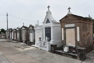 Filename=DSC_3373.JPG
Filesize=18102KiB
Dimensions=7360x4912
Date added=May 01, 2021 DSC_3373.JPG