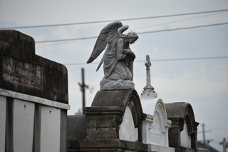 Filename=DSC_3376.JPG
Filesize=14908KiB
Dimensions=7360x4912
Date added=May 01, 2021 DSC_3376.JPG