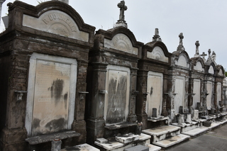 Filename=DSC_3384.JPG
Filesize=19175KiB
Dimensions=7360x4912
Date added=May 01, 2021 DSC_3384.JPG