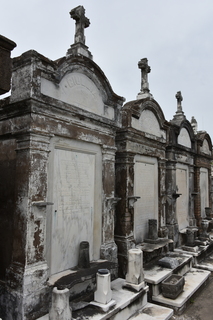 Filename=DSC_3386.JPG
Filesize=16818KiB
Dimensions=4912x7360
Date added=May 01, 2021 DSC_3386.JPG