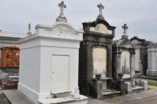 Filename=DSC_3387.JPG
Filesize=17519KiB
Dimensions=7360x4912
Date added=May 01, 2021 DSC_3387.JPG