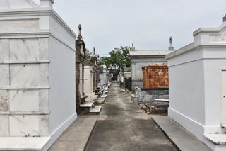 Filename=DSC_3388.JPG
Filesize=17732KiB
Dimensions=7360x4912
Date added=May 01, 2021 DSC_3388.JPG