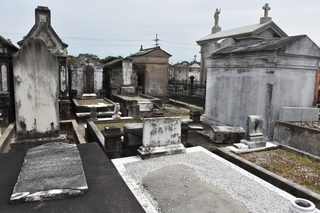 Filename=DSC_3401.JPG
Filesize=20347KiB
Dimensions=7360x4912
Date added=May 01, 2021 DSC_3401.JPG