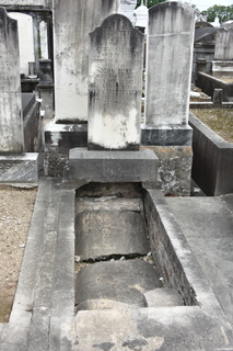 Filename=DSC_3402.JPG
Filesize=20143KiB
Dimensions=4912x7360
Date added=May 01, 2021 DSC_3402.JPG