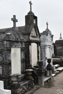 Filename=DSC_3405.JPG
Filesize=16156KiB
Dimensions=4912x7360
Date added=May 01, 2021 DSC_3405.JPG