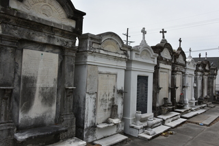 Filename=DSC_3407.JPG
Filesize=18035KiB
Dimensions=7360x4912
Date added=May 01, 2021 DSC_3407.JPG