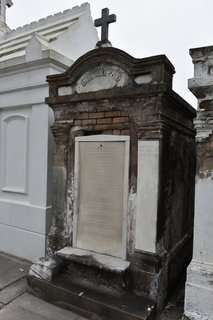 Filename=DSC_3408.JPG
Filesize=16844KiB
Dimensions=4912x7360
Date added=May 01, 2021 DSC_3408.JPG