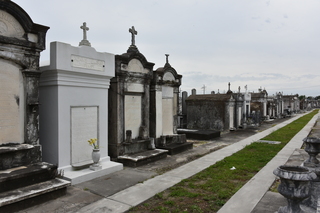 Filename=DSC_3409.JPG
Filesize=18408KiB
Dimensions=7360x4912
Date added=May 01, 2021 DSC_3409.JPG