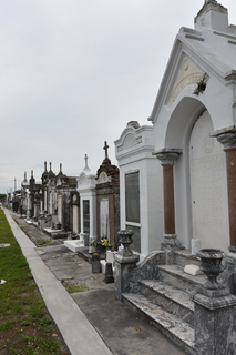 Filename=DSC_3413.JPG
Filesize=15783KiB
Dimensions=4912x7360
Date added=May 01, 2021 DSC_3413.JPG