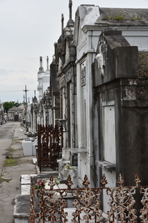 Filename=DSC_3419.JPG
Filesize=16455KiB
Dimensions=4912x7360
Date added=May 01, 2021 DSC_3419.JPG