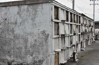 Filename=DSC_3420.JPG
Filesize=21347KiB
Dimensions=7360x4912
Date added=May 01, 2021 DSC_3420.JPG