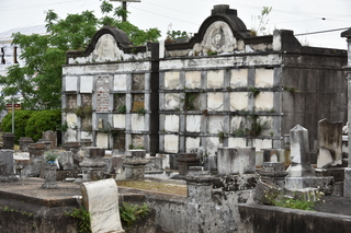 Filename=DSC_3436.JPG
Filesize=21296KiB
Dimensions=7360x4912
Date added=May 01, 2021 DSC_3436.JPG