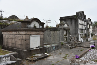 Filename=DSC_3442.JPG
Filesize=20712KiB
Dimensions=7360x4912
Date added=May 01, 2021 DSC_3442.JPG