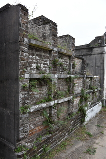 Filename=DSC_3443.JPG
Filesize=19398KiB
Dimensions=4912x7360
Date added=May 01, 2021 DSC_3443.JPG