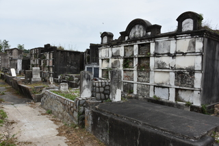 Filename=DSC_3446.JPG
Filesize=19911KiB
Dimensions=7360x4912
Date added=May 01, 2021 DSC_3446.JPG