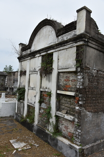 Filename=DSC_3447.JPG
Filesize=17670KiB
Dimensions=4912x7360
Date added=May 01, 2021 DSC_3447.JPG