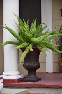 Filename=DSC_3458.JPG
Filesize=15097KiB
Dimensions=4912x7360
Date added=May 04, 2021 DSC_3458.JPG