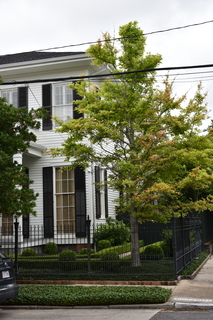 Filename=DSC_3467.JPG
Filesize=18926KiB
Dimensions=4912x7360
Date added=May 04, 2021 DSC_3467.JPG